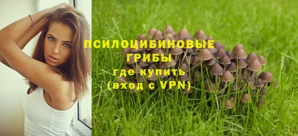 бошки Армянск