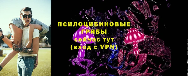 круглые Алзамай