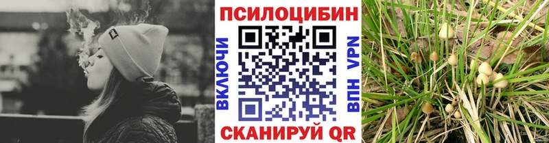 Псилоцибиновые грибы ЛСД  как найти закладки  Тайшет 
