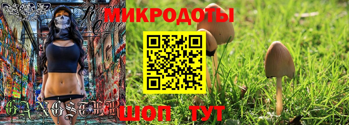 Псилоцибиновые грибы прущие грибы  Вход с VPN  Галлюциногенные грибы мухоморы  Тайшет 